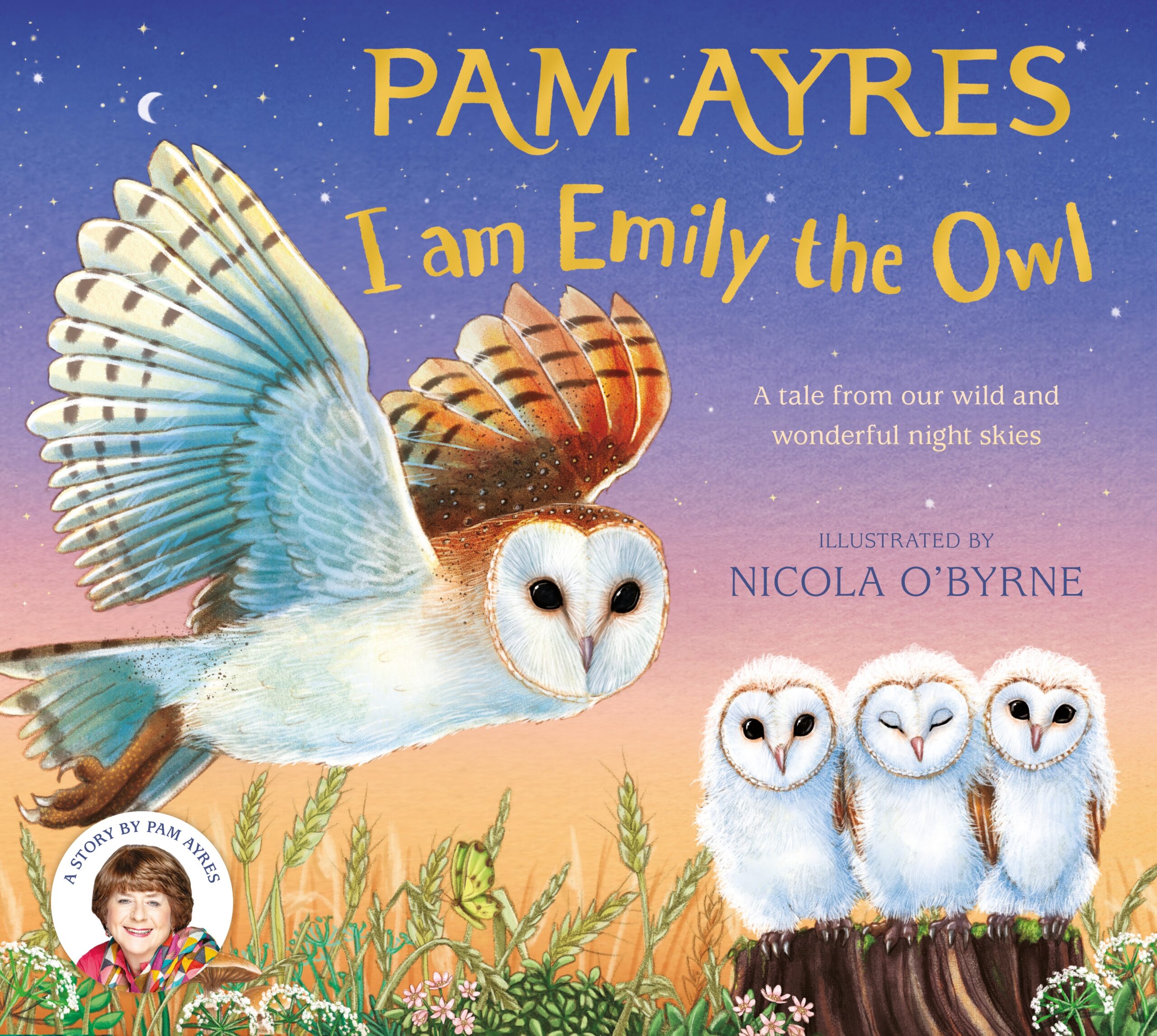 I am emily the owl cover